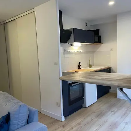 Escapade Toulousaine En Centre - Parking Prive - Terrasse *