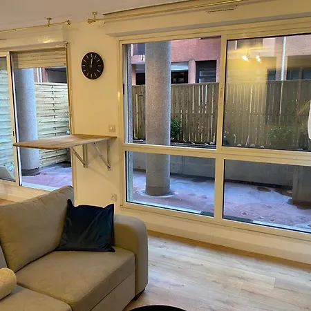 Escapade Toulousaine En Centre - Parking Prive - Terrasse Daire Toulouse